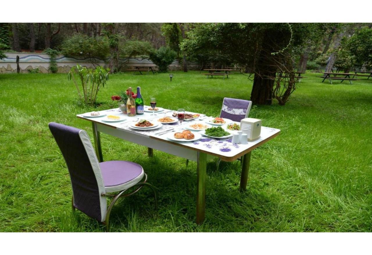 Festival Nature Hotel Kemer Ngoại thất bức ảnh