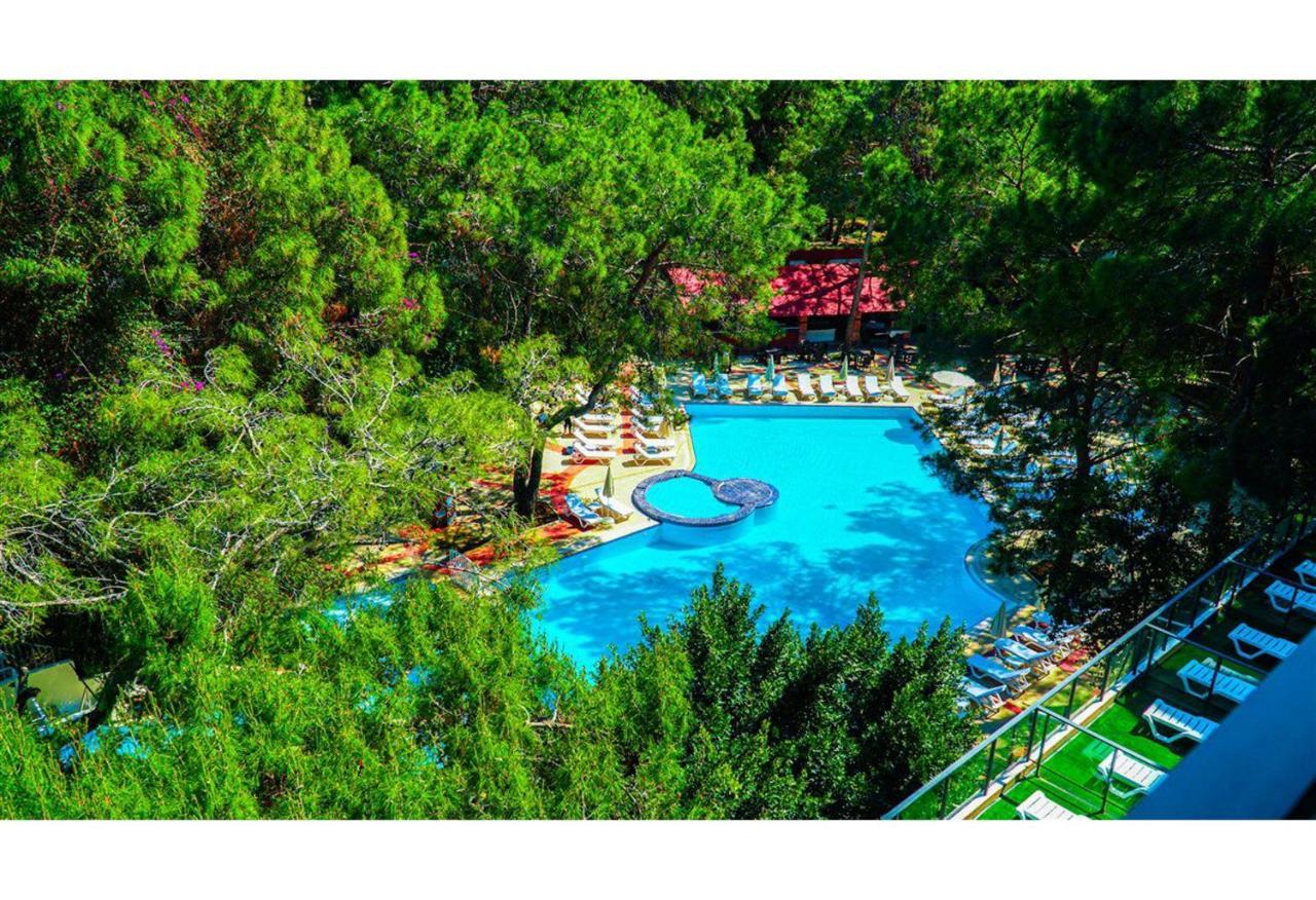 Festival Nature Hotel Kemer Ngoại thất bức ảnh